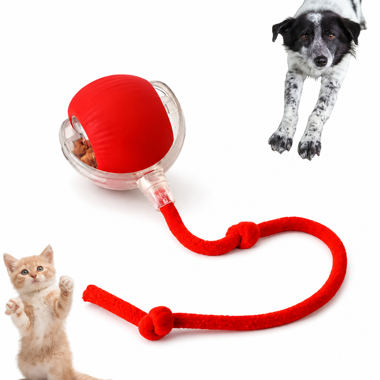 Bola Giratória Inteligente para Pet Recarregável USB - imagem 4